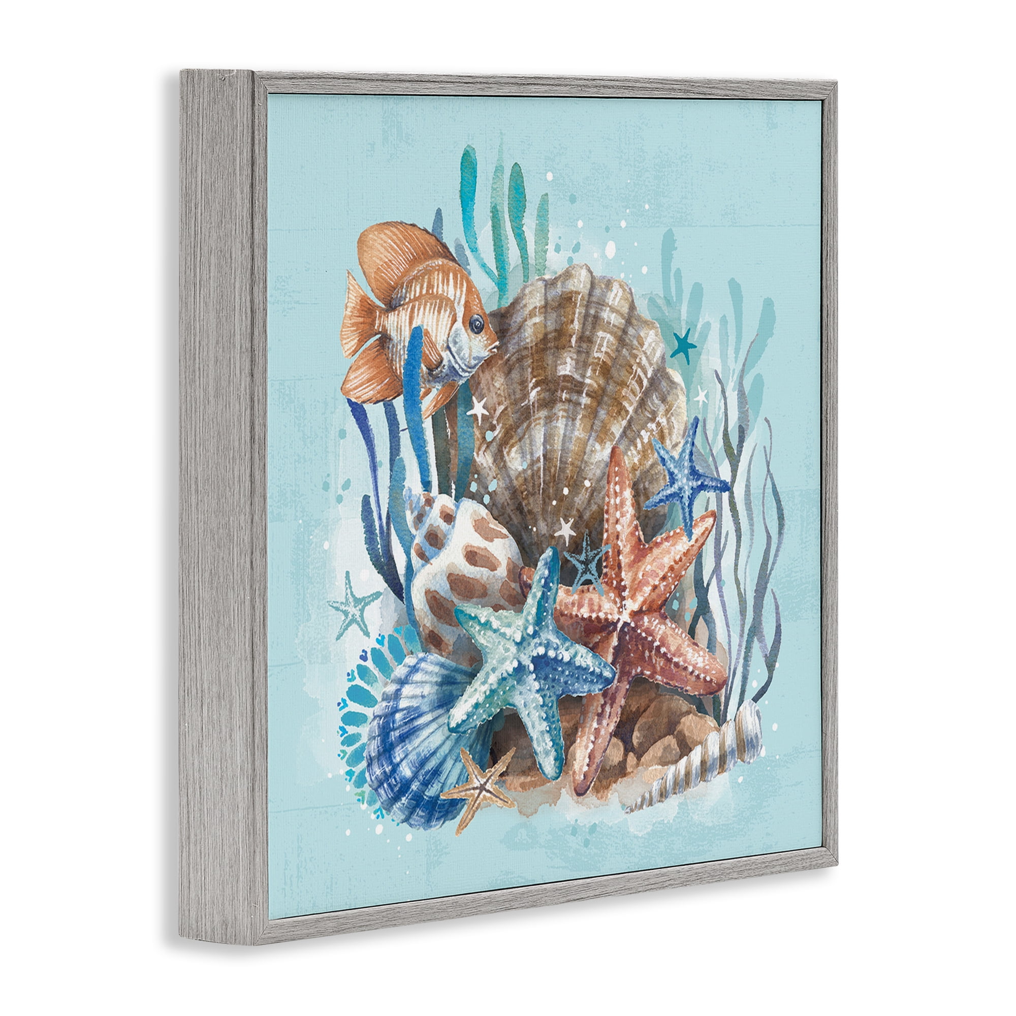 Stupell Industries Seashell Still Life Coastal Painting Gray Framed Art Print Wall Art, 24 x 24