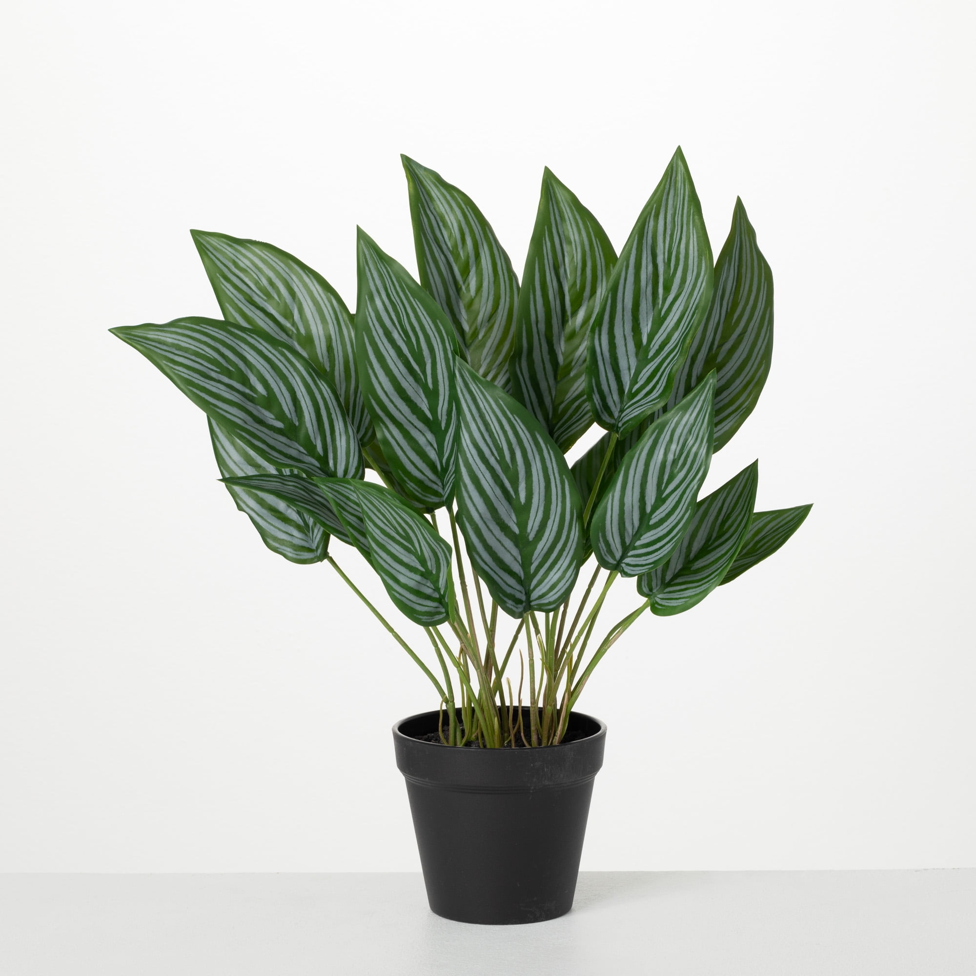 Sullivans Artificial Chinese Evergreen Plant 18.5"H Green