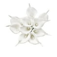 thumbnail image 1 of onlyliua Liquidación 10 Piezas de Flores Artificiales de Castaña de Agua, Ramo de Flores Artificiales Realmente Manual, 1 of 3
