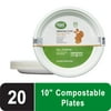 Great Value Compostable, Microwave Safe, Cut Resistant, Soak Resistant, Temperature Resistant, Disposable Paper Plates, 10", White, 20 Count