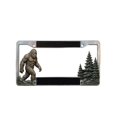 thumbnail image 1 of YUELONGHU License Plate for Exterior Heavy Duty Metal Auto Holder with Rustproof Coating Universal Fit Front Rear Bumper Sleek Protective Trim, 1 of 5