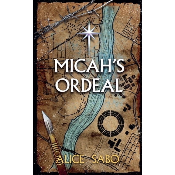 Children of a Changed World Micah's Ordeal, Book 4, (Paperback)