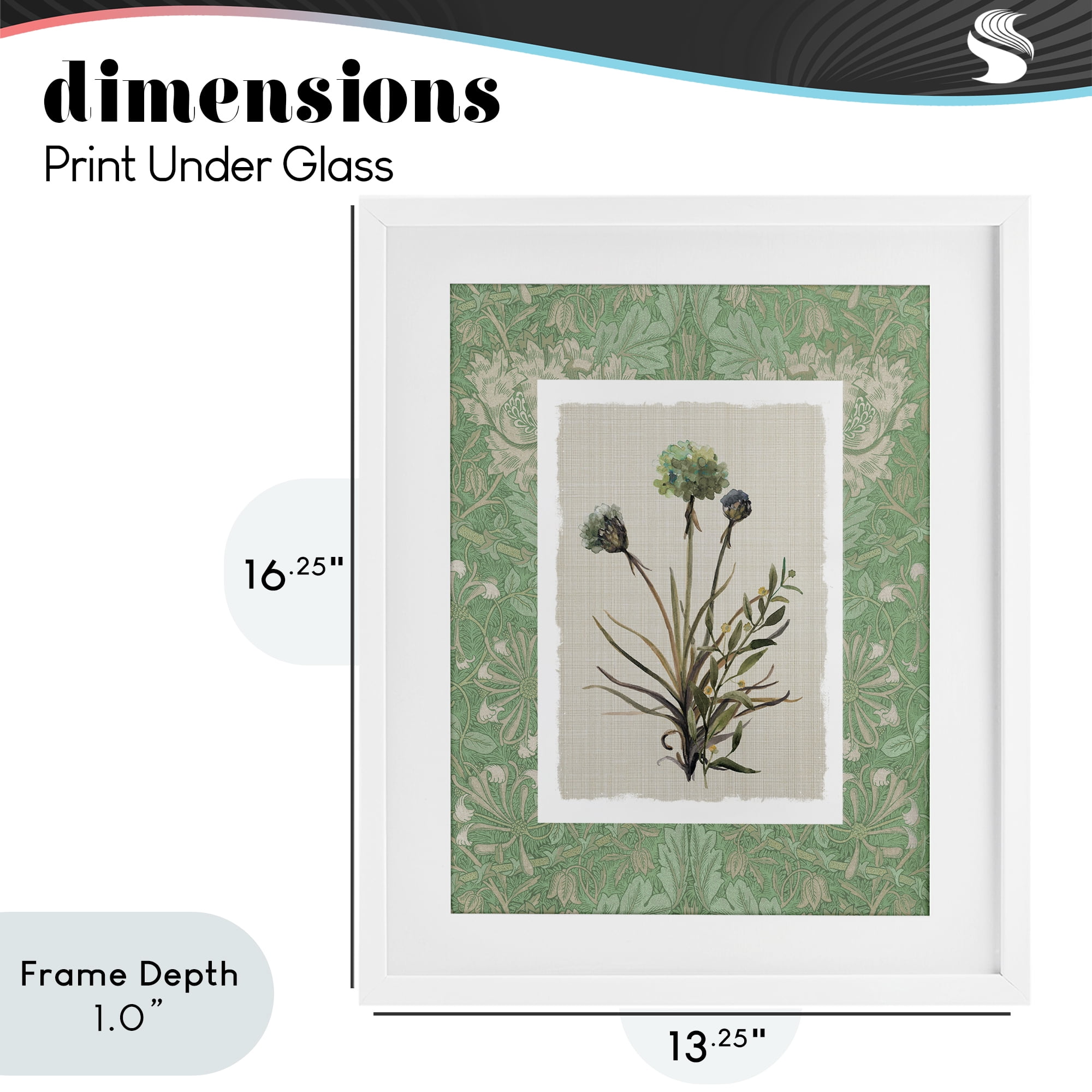 Stupell Industries Vintage Foliage in Green White Framed Print Under Glass, design by Carol Robinson
