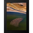 thumbnail image 2 of Fan, John 18x24 Black Modern Framed Museum Art Print Titled - Flamingos On The Lake, 2 of 5