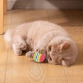 thumbnail image 5 of 3PCS Rainbow Cat Toy Balls Interactive Soft EVA Foam Pet Exercise Toys for Indoor Play and Chasing Lightweight Fetch Balls for Cats and Small Breed Dogs - A,Size S, 5 of 6
