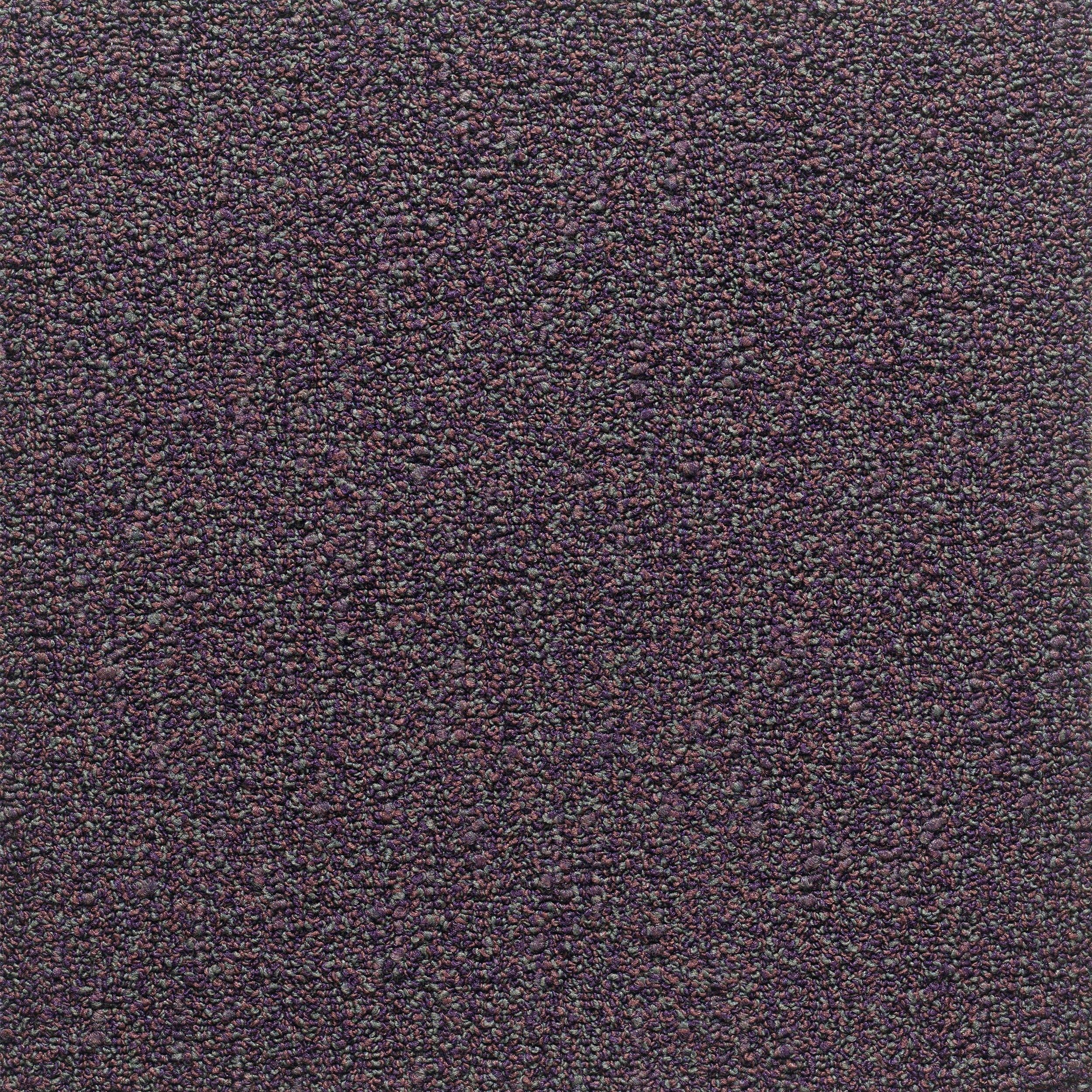 Samples Horsforth 24" x 24" (1SF/piece) carpet tile in VELVET