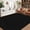 Black tone, variant on Danolapsi Area Rug,Large Machine Washable Rug Modern Solid Textured Area Rug Stain Resistant Non-Slip Accent Rug Contemporary Woven Floor Cover Farmhouse Carpet for Living Room Decor