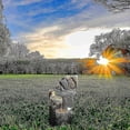 thumbnail image 2 of Solar Squirrel Stacked Waterfall Fountain with LED Lights and Pump, Resin Squirrel Garden Fountain S_Perfect Gift, 2 of 5