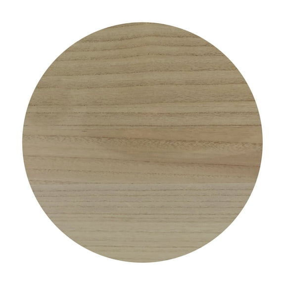 12" Circle Plaque by Make Market - 2ct.