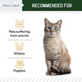 thumbnail image 5 of Chew + Heal Puppy and Dog Dewormer - 12 oz - Wormer Liquid to Paralyze and Expel Roundworms - Great for Cats and Kittens, 5 of 10