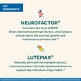 thumbnail image 5 of Neuriva Brain + Eye Health Supplement, Support for Brain Health & Eye Support, 30ct Capsules, 5 of 11