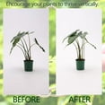 thumbnail image 4 of 5.5 * 4.7IN Monstera Stem Support Stake with Clips - Durable Climbing Plant Support for Monstera, Fishbone Cactus, Easy Installation, for Plant Lovers, 4 of 15