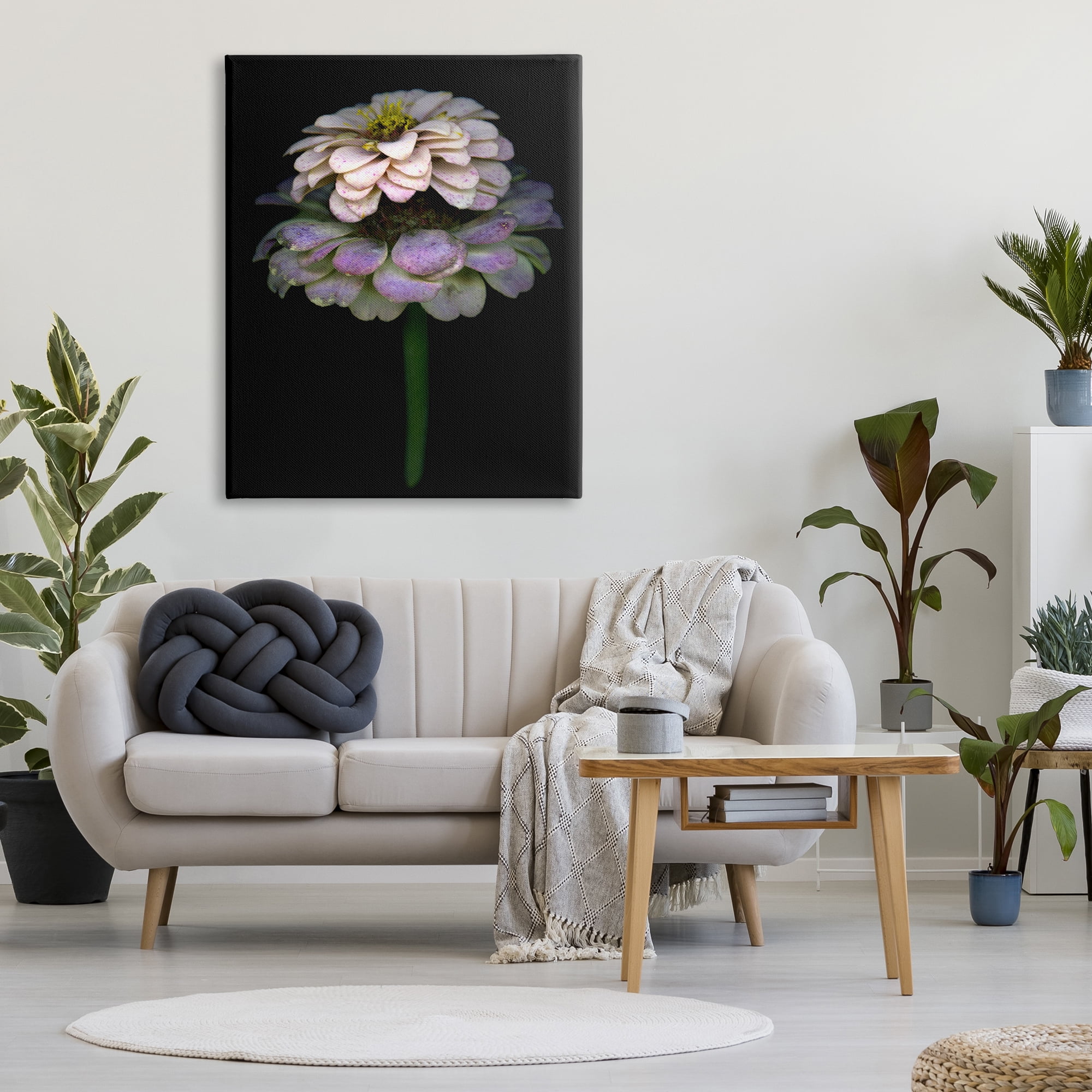 Stupell Industries Dahlia Bud Photography Botanical & Floral Photography Gallery Wrapped Canvas Print Wall Art, 36 x 48