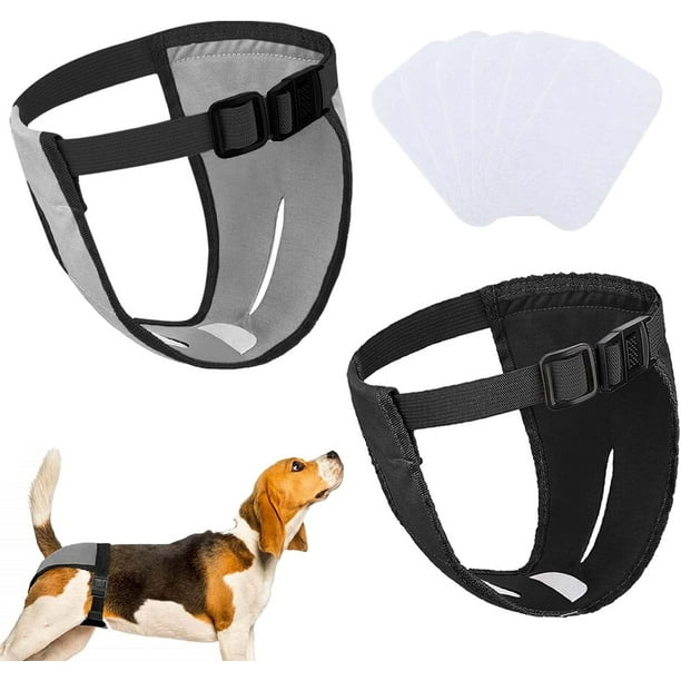 Paquete de 2 pantalones para perros, pañales para perros con 6 compresas, pantalones protectores ajustables para perras en celo y menstruación (M - Negro y Gris)