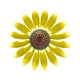 thumbnail image 2 of Fiudx Artículos en oferta con ofertas flash Artesanía de hierro Decoración de pared para el hogar Decoración de pared con flores de hierro, 2 of 4