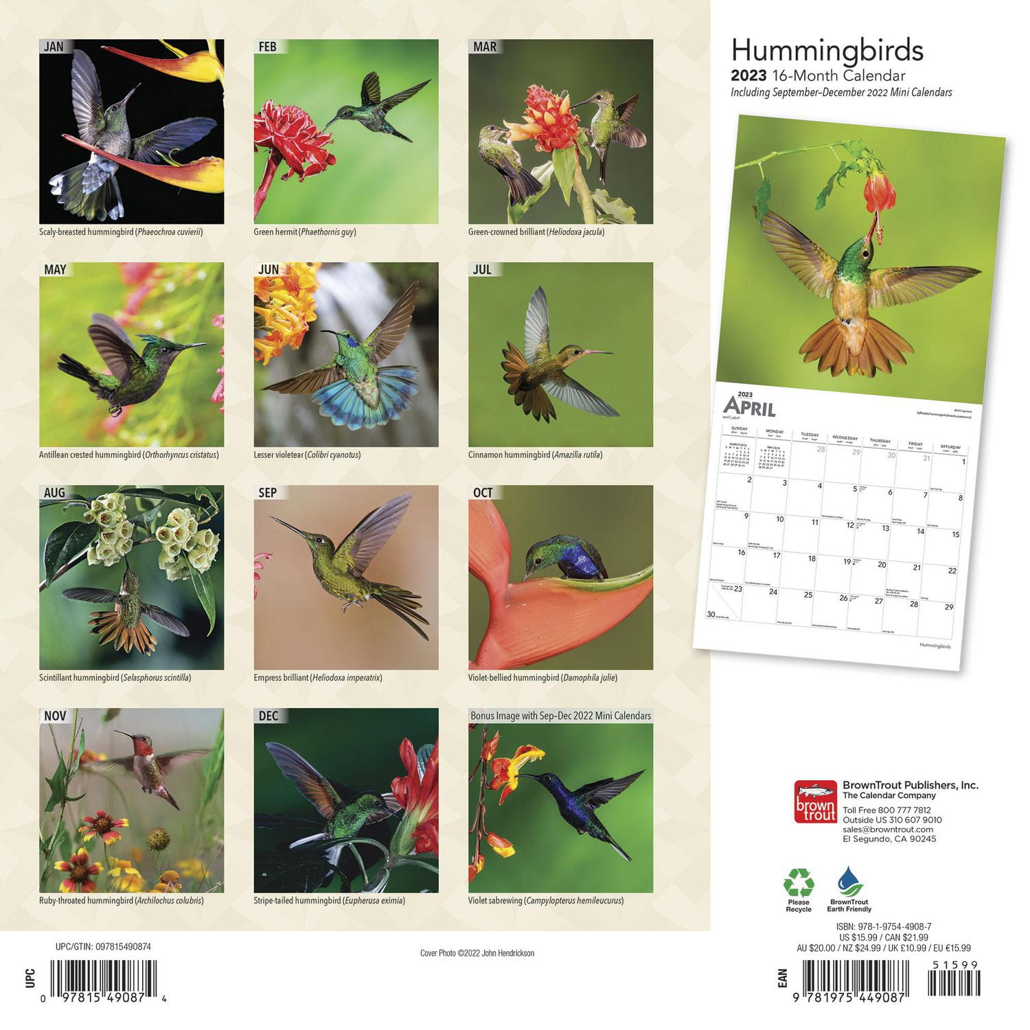 Hummingbirds 2023 Square