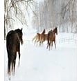 thumbnail image 3 of Winter Duvet Cover Set Queen Size, Horses in the Snow Playing Having Fun in the Forest Seasonal Animal Photography, Decorative 3 Piece Bedding Set with 2 Pillow Shams, Brown White, by Ambesonne, 3 of 3