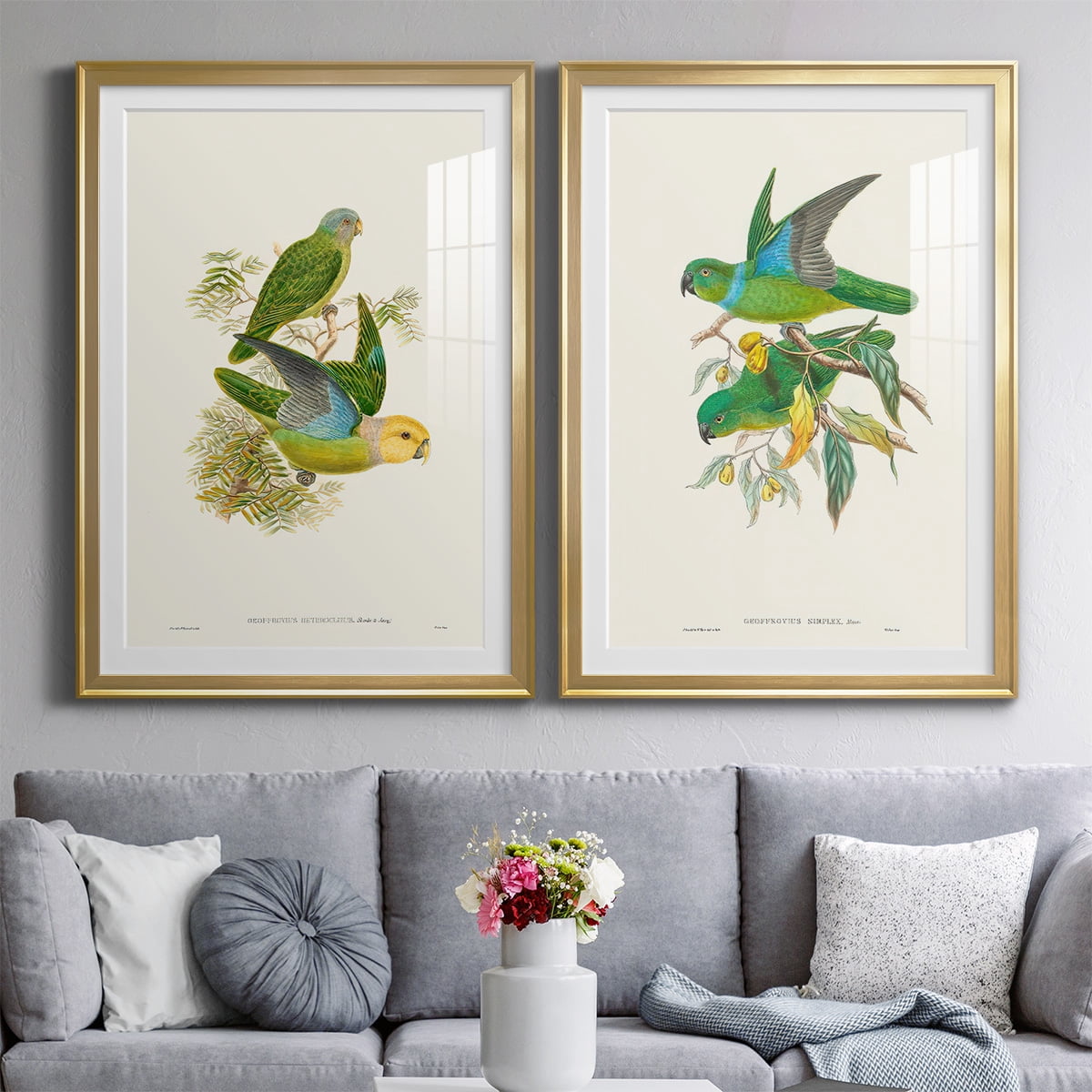 Wexford Home Lime & Cerulean Parrots I Premium Framed Print, 18.5" x 24.5" - Ready to Hang, Gold (Set of 2)
