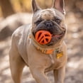 thumbnail image 3 of CHUCKIT! Grande Balle pour Chien Durable Breathe Right, 3 of 5