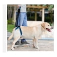 thumbnail image 2 of Arnes Rehabilitación Para Perro. Apoyo En Patas Traseras, 2 of 8