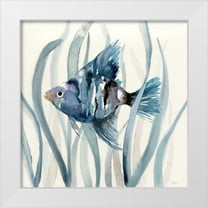 Nan 26x26 White Modern Wood Framed Museum Art Print Titled - Fish in Seagrass II