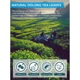 thumbnail image 4 of HEZUO Decaffeinated Oolong Tea Bags, Mild Flavor, Individually Wrapped, Biodegradable Tea Bags, 20 Count, for Hot or Iced Tea, 4 of 8