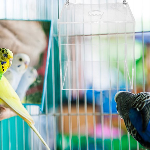 ETEREAUTY Transparent Bird Bath Tube for Parrot Cages with Hanging Shower Box Accessory