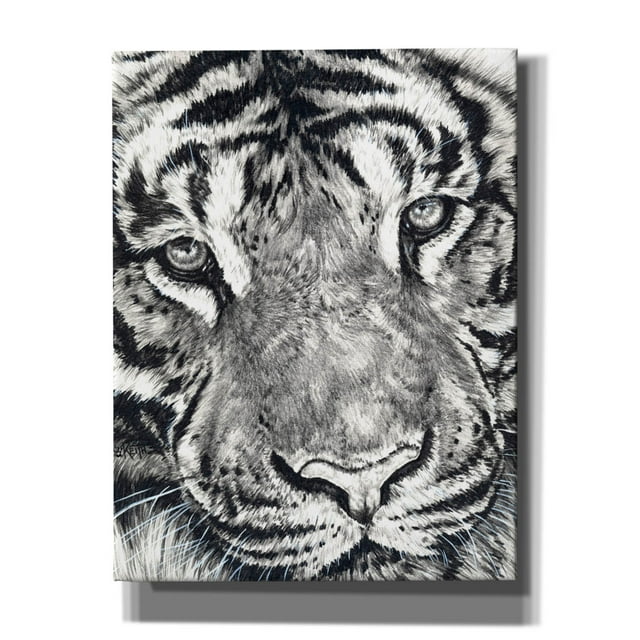 Epic Graffiti 'Dreamer' by Barbara Keith, Canvas Wall Art, 26"x34"