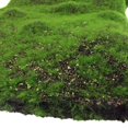 thumbnail image 2 of Simulation moss lawn skin planting simulation turf lawn Moss stone plant Moss simulation plant wall lawn - Loess flat lawn, 2 of 5