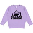 thumbnail image 2 of Inktastic Colorado Springs Colorado Toddler Sweatshirt, 2 of 4