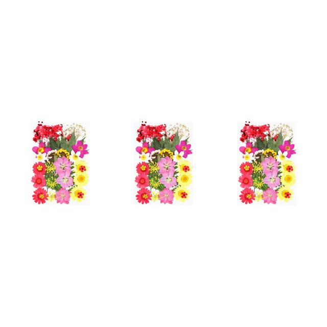 Destyer Set Scrapbooking Decorating Real Flower Decal Handicraft Filling Pressed Specimen Label for Makeup Phone Use Type 1 Type31 NO31