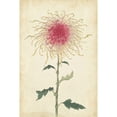 thumbnail image 3 of Marmont Hill "Chrysanthemum I" Painting Print on Wrapped Canvas, 3 of 5
