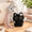 Angel Cat Black, variant on Bag Charm Angel Cat Black Plush Keychain for Backpack Purse Accessories