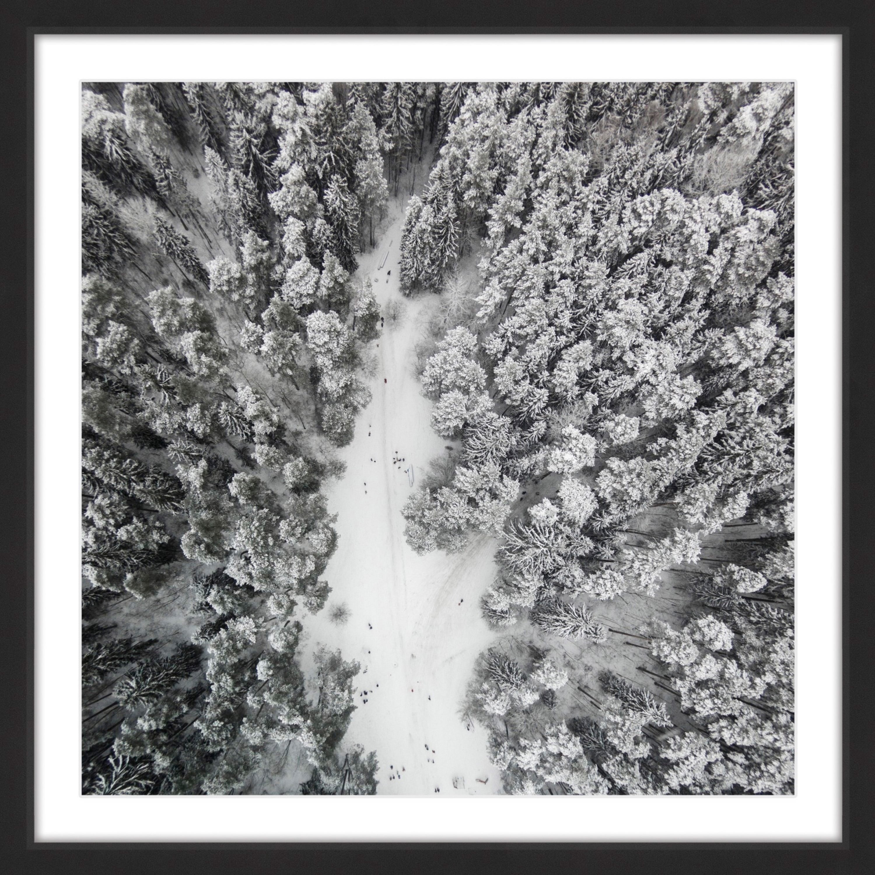 Marmont Hill "Path Among Giants" By Karolis Janulis Framed Painting Art Print, 12.0" x 1.5"