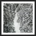 thumbnail image 3 of Marmont Hill "Path among Giants" by Karolis Janulis Framed Painting Print, 3 of 5