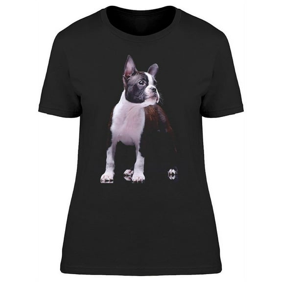 Terrier Puppy With Lost Look T-Shirt Women -Image by Shutterstock, Female Large