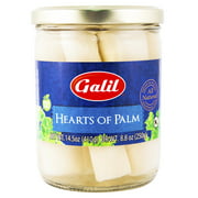 Galil Hearts Of Palm Jar  | Pack of 6