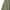 Army Green#01, variant on Ynynloco Mens Shorts 5 Inch Lightweight Drawstring Waist Athletic Shorts Summer Quick Dry Beach Gym Workout Running Casual Shorts