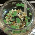 thumbnail image 4 of OULII 54Pcs Aquarium Floating Grass Light Green Simulated Plant for Tanks, 4 of 8
