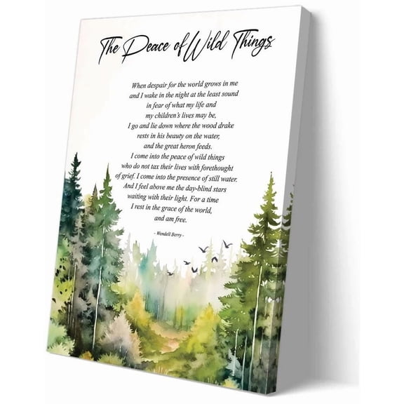 The Peace of Wild Things Poem Wall Art poster  for Bedroom Vertical Poster Landscape Decoration Home poster
