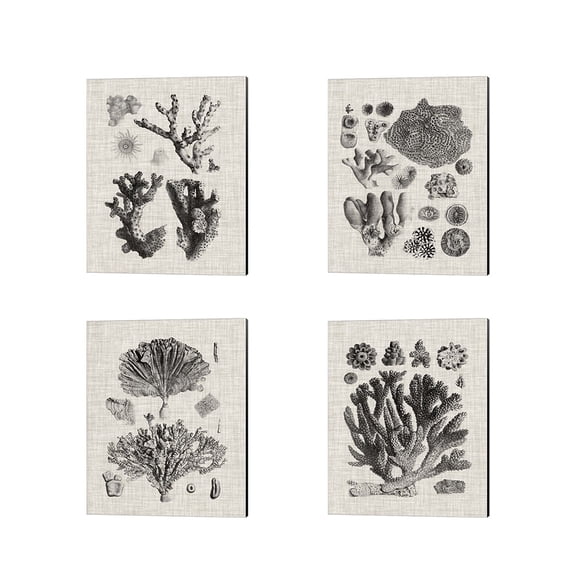 Metaverse Vision Studio 'Coral Specimen A' Canvas Art (Set of 4)