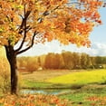 thumbnail image 1 of SJOLOON 10x10ft Autumn Backdrop Fall Leaves Photo Backdrop Vinyl Photography Background Studio Props 10590, 1 of 5