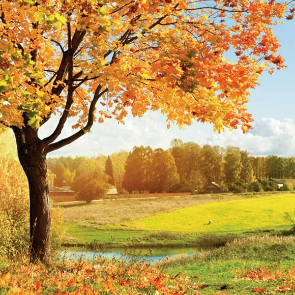 SJOLOON 10x10ft Autumn Backdrop Fall Leaves Photo Backdrop Vinyl Photography Background Studio Props 10590