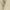Beige, variant on Beach Dress for Women Women's Fashionable Solid Color Round Neck Three Quarter Sleeved Loose Hem Pocket Dress