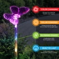 thumbnail image 5 of Exhart Butterfly, Hummingbird and Dragonfly  Solar Powered Garden Stakes, 3x25 inches, Plastic, Clear (Decor for Home Patio, Outdoor Garden, Yard or Lawn), Plastic, 5 of 7