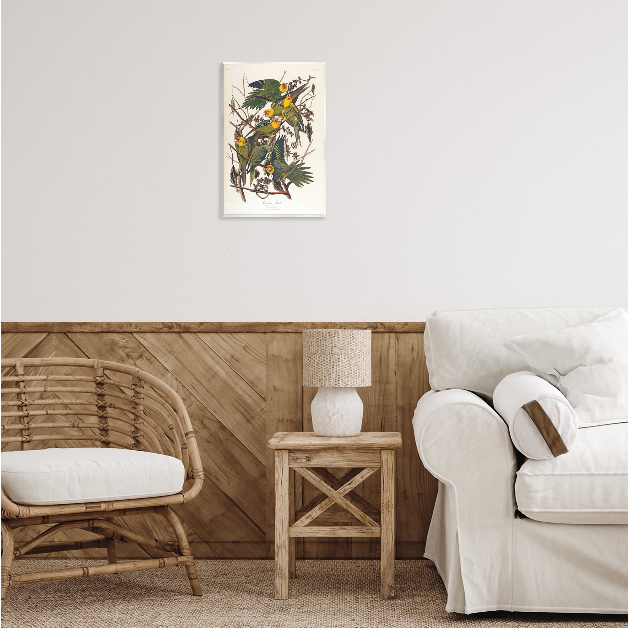Stupell Industries Classic Carolina Parrot Study Animals Painting Unframed Art Print Wall Art, 13 x 19