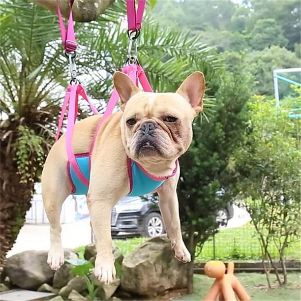 Hamaca para Perros Perfecl Soporte para Hamaca Funciones para Atención de Mascotas Rojo S
