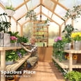 thumbnail image 4 of Erinnyees 6'x8' Outdoor Wooden Greenhouse, Heavy Duty Green House with Thickend PC Panel, Adjustable Windows, 12/16 Plant Hooks and Lockable Door for Garden,Backyard, 4 of 8