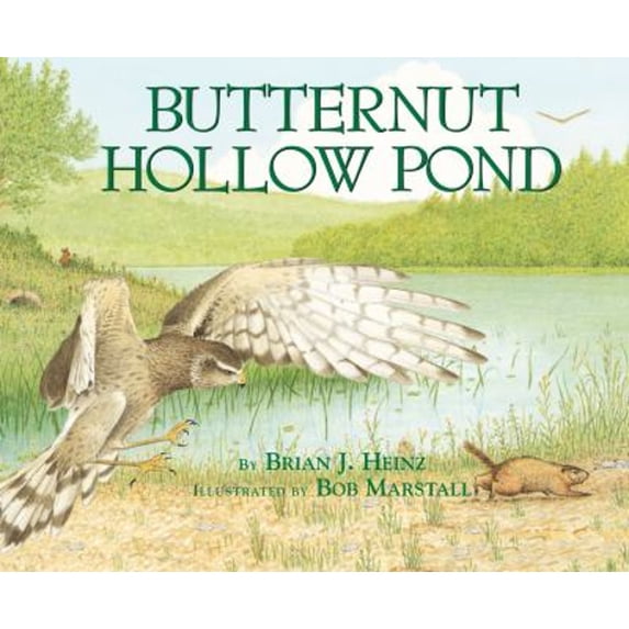 Pre-Owned Butternut Hollow Pond (Paperback) 0822559935 9780822559931