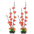 thumbnail image 5 of BESTYASH 2-Pack Red Sashimi Blossom Artificial Flowers for Sushi Plate Decoration and Elegant Table Display Accents, 5 of 8